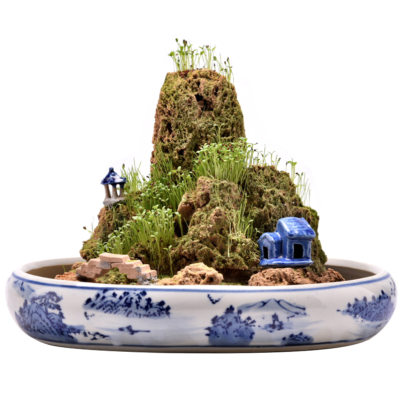 石光小站吸水石盆景假山沙积石艺术文艺石头家居摆件创意礼品微型小型