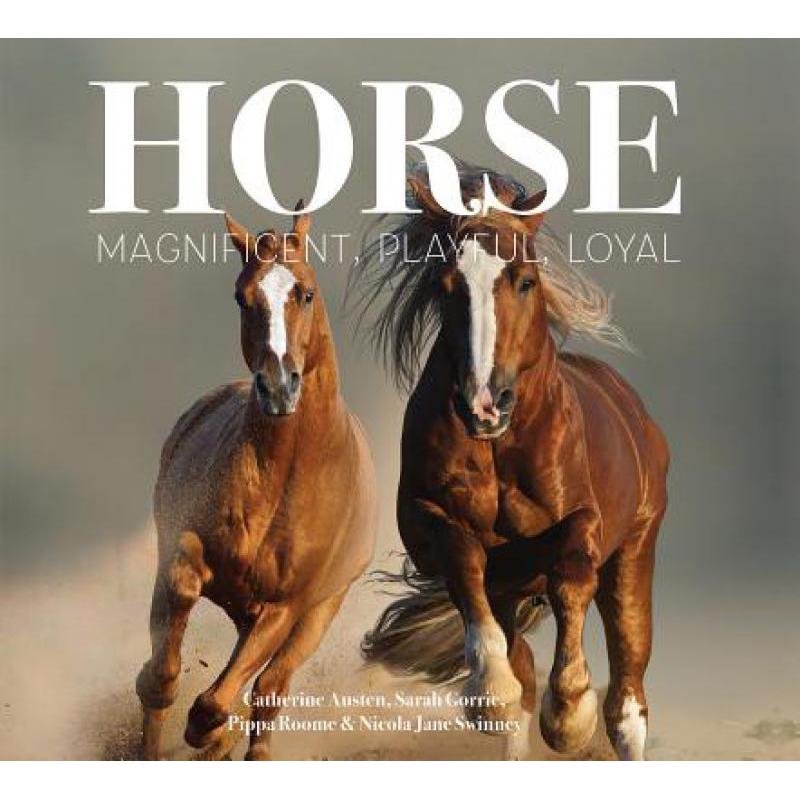 Horse: Magnificent, Playful, Loyal