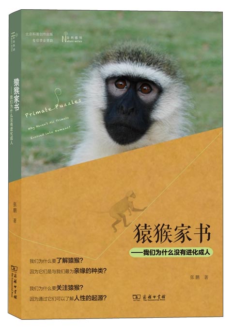 [正版图书]猿猴家书：我们为什么没有进化成人