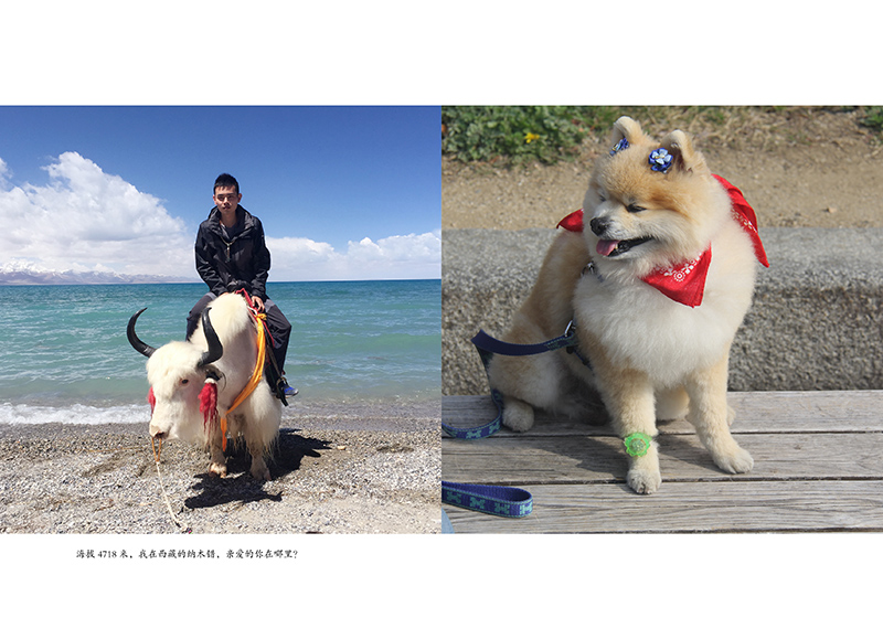 睁开双眼看世界