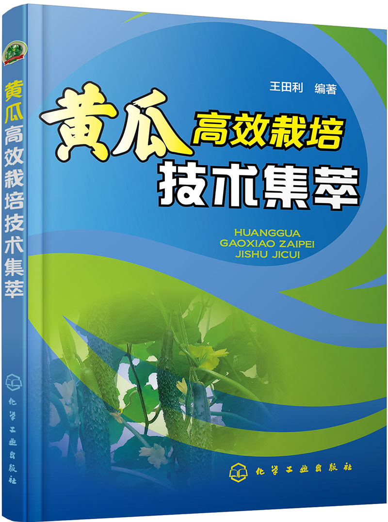 黄瓜高效栽培技术集萃
