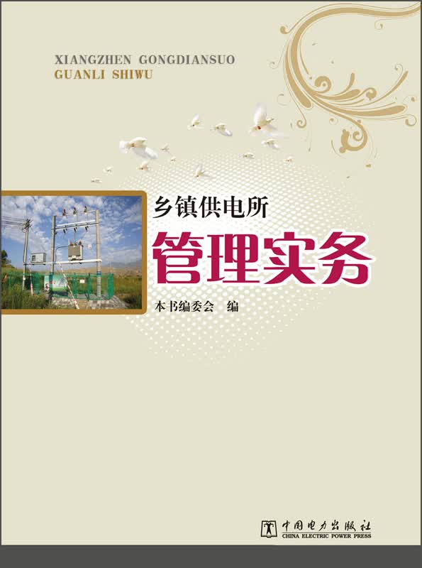乡镇供电所管理实务