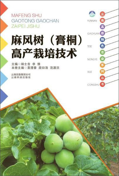 云南科技出版社 麻风树(膏桐)高产栽培技术/云南高原特色农业系列丛书