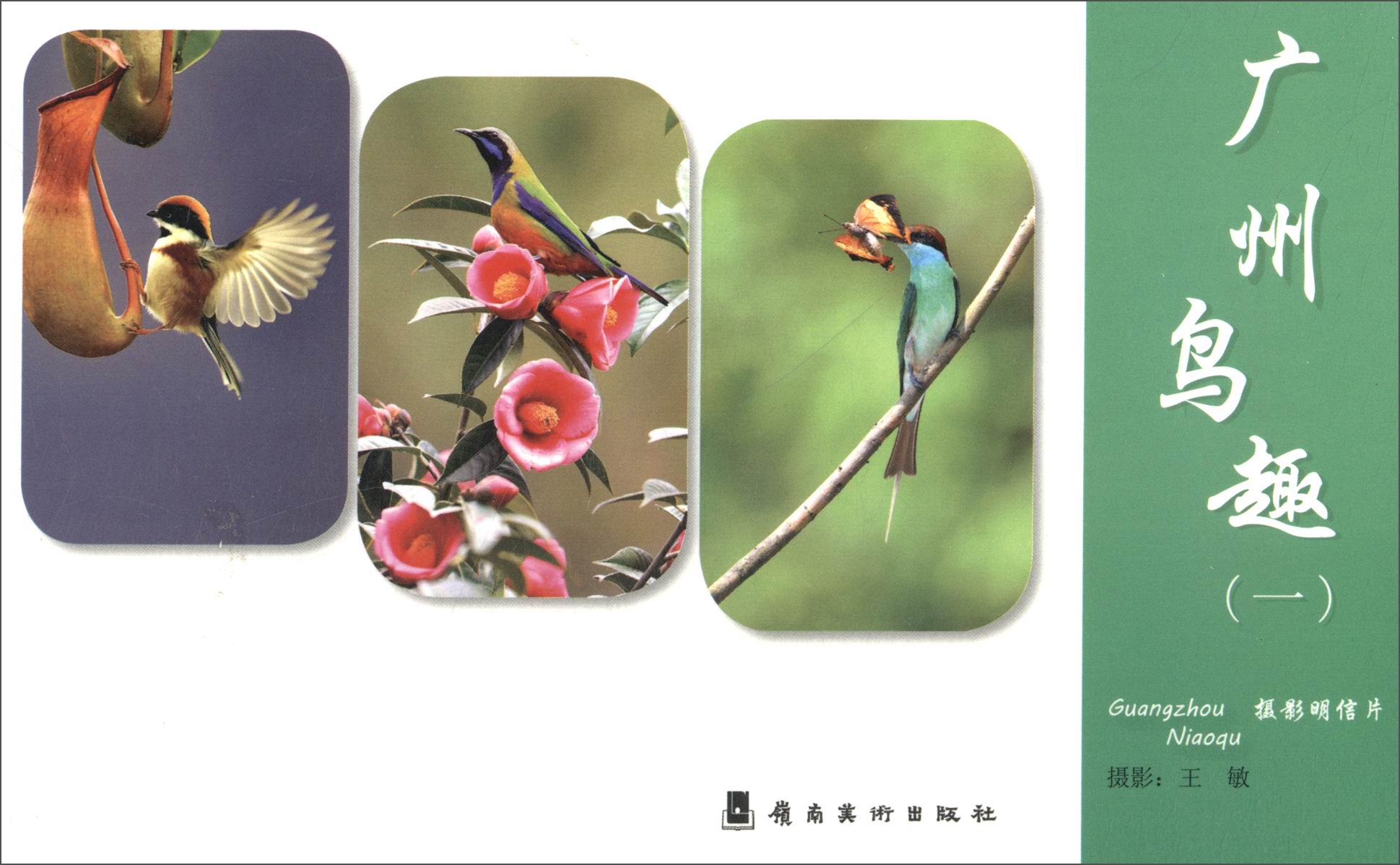 中华经典诗文之美：广州鸟趣