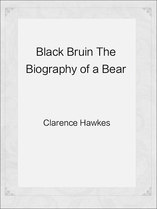 black bruin the biography of a bear