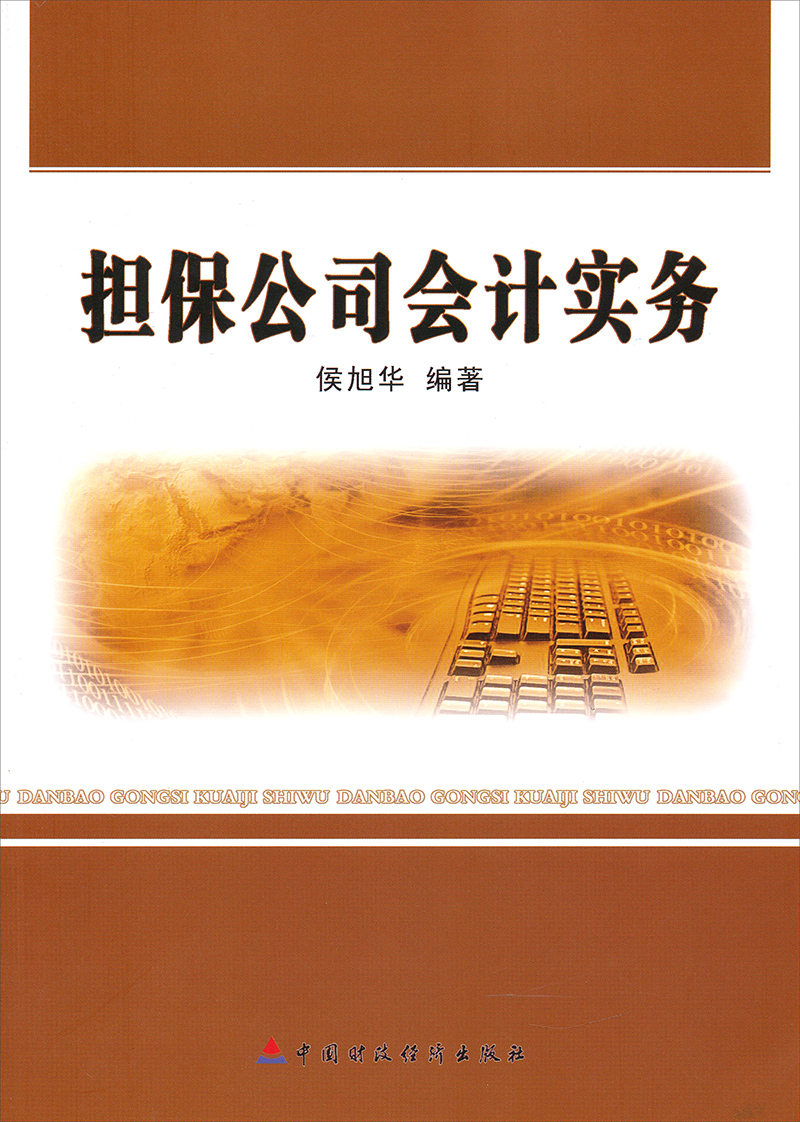 担保公司会计实务