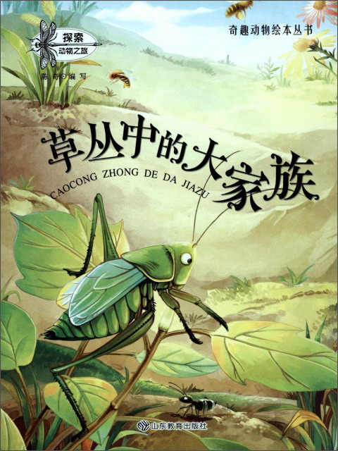 探索动物之旅—奇趣动物绘本丛书草丛中的大家族 儿童动物故事绘本漫画书图画书早教启蒙科普儿童绘本