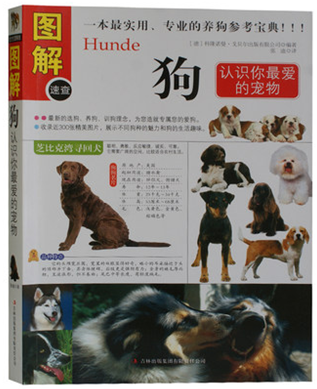 图解速查狗图文本 图解狗病 养殖品种全彩插图本 狗的品种食物饲养狗病用药治疗 宠物书籍