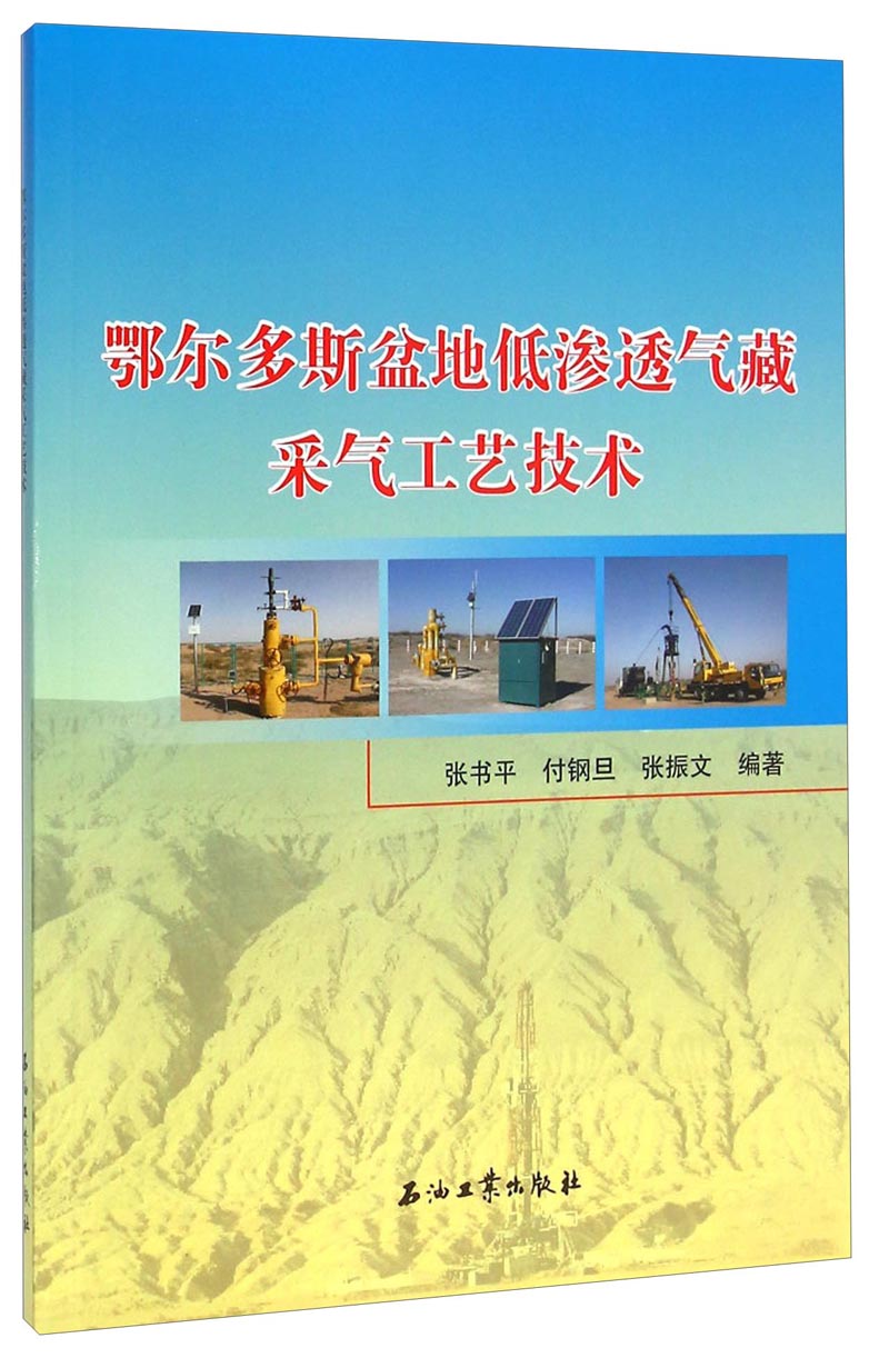 鄂尔多斯盆地低渗透气藏采气工艺技术