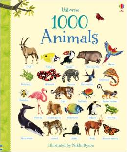 英文原版 1000 animals 1000种动物