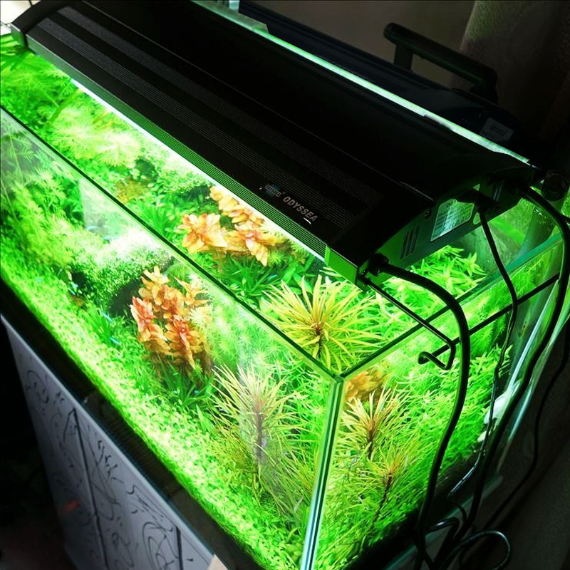 odyssea灯架t5ho灯管鱼缸灯四管双灯管灯水族箱灯具水草缸照明灯架