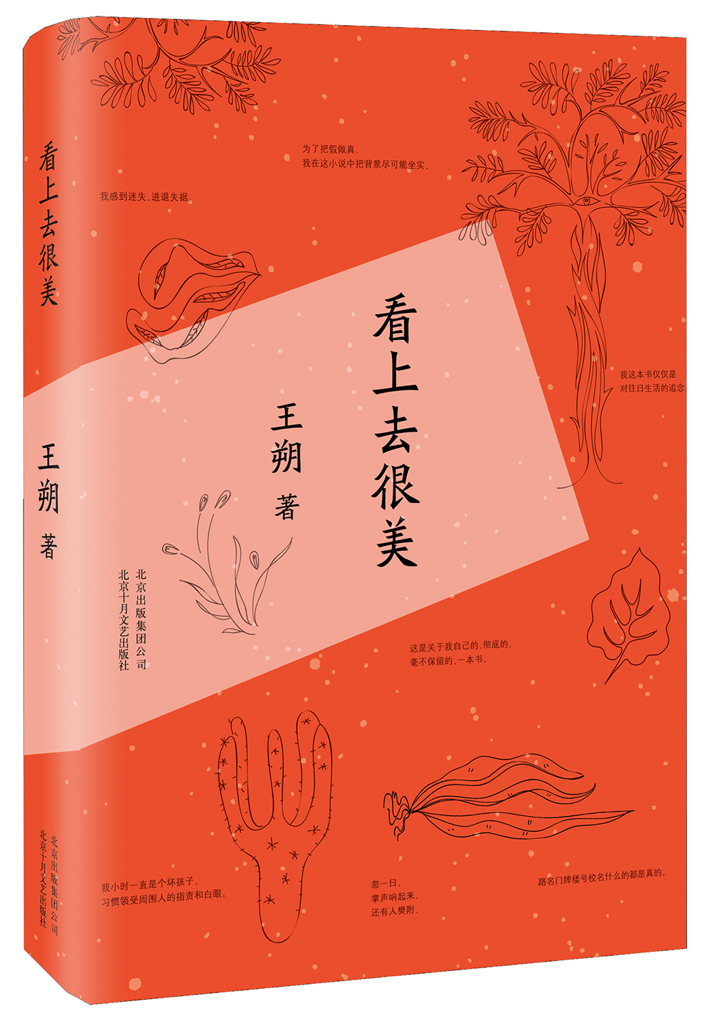 看上去很美9787530213735