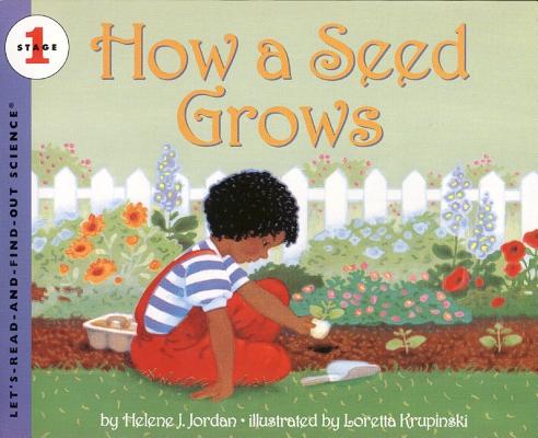 How a Seed Grows种子如何长大