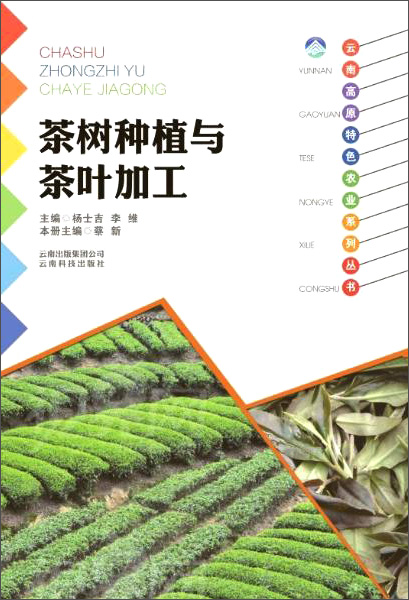 云南科技出版社 茶树种植与茶叶加工/云南高原特色农业系列丛书