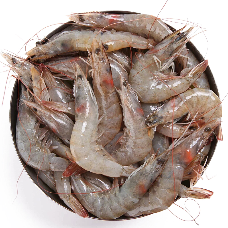 【活鲜】鲜之国 青岛鲜活海捕大虾 1斤 白虾