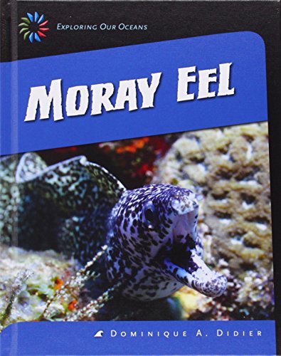 【预订】moray eel