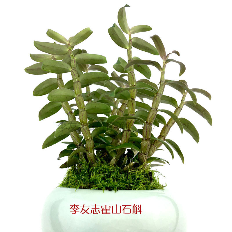 从历史价格走势看,这三款产品现在购买最划算!