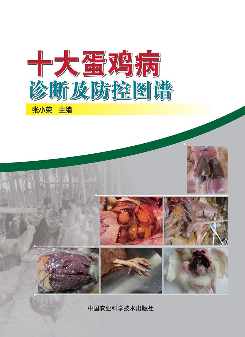 十大蛋鸡病诊断及防控图谱