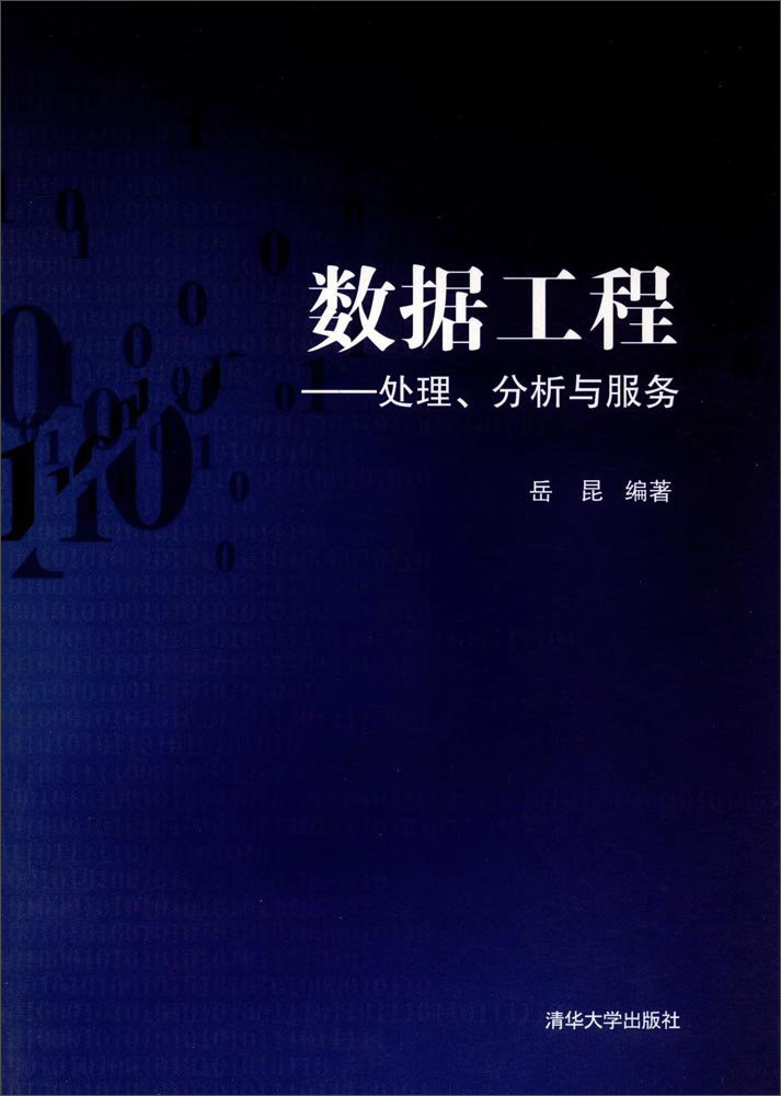 数据工程：处理分析与服务