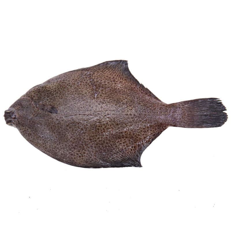 鲜之国 青岛冰鲜鼓眼鱼 500g 3-4条 新鲜海鱼