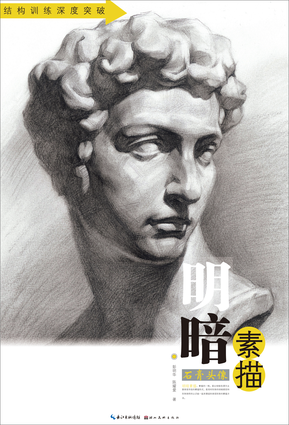 明暗素描:石膏头像/结构训练深度突破