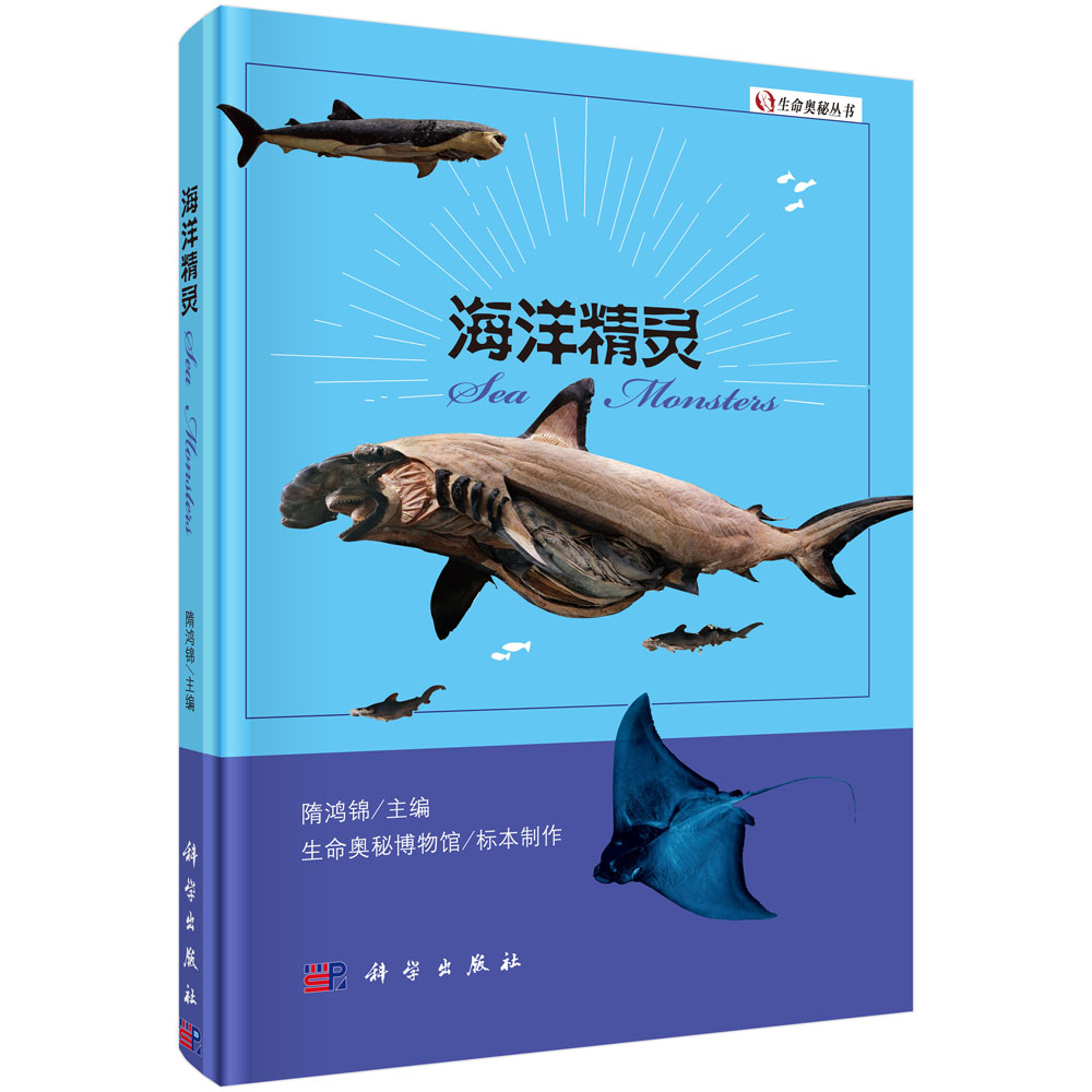 海洋精灵