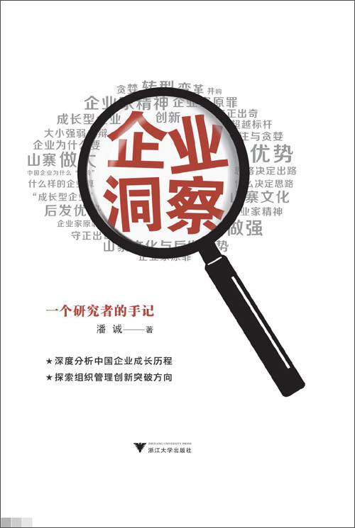 企业洞察：一个研究者的手记