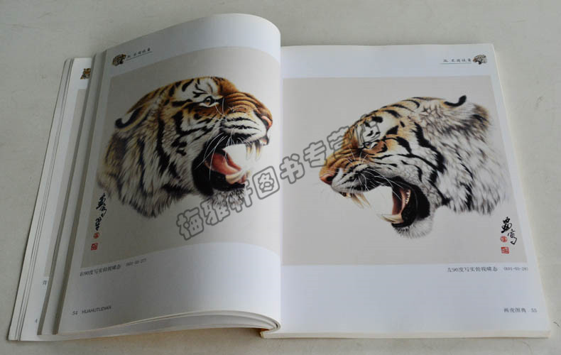 工笔画入门 画虎图典 如何画虎 天津人民美术