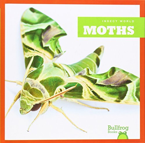 【预订】moths