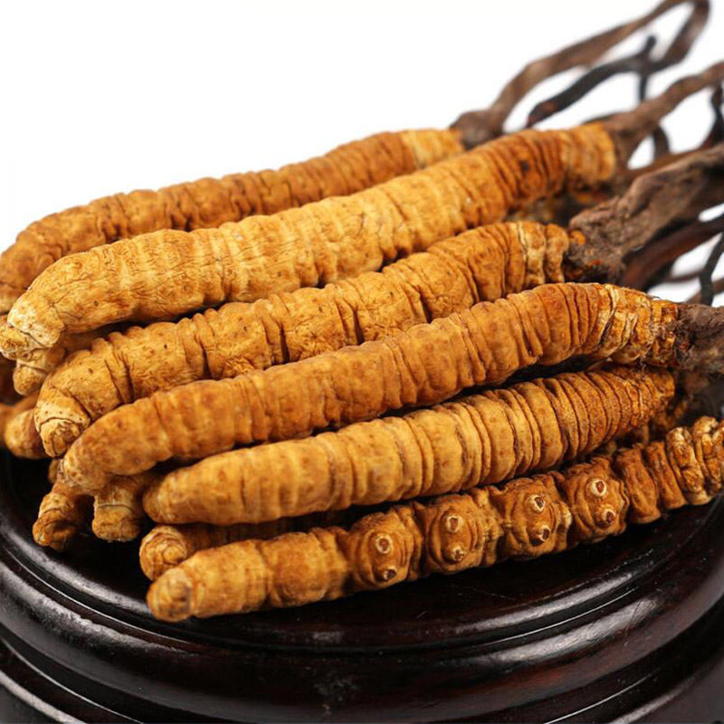 呀啦嗦:冬虫夏草的价格走势以及评价
