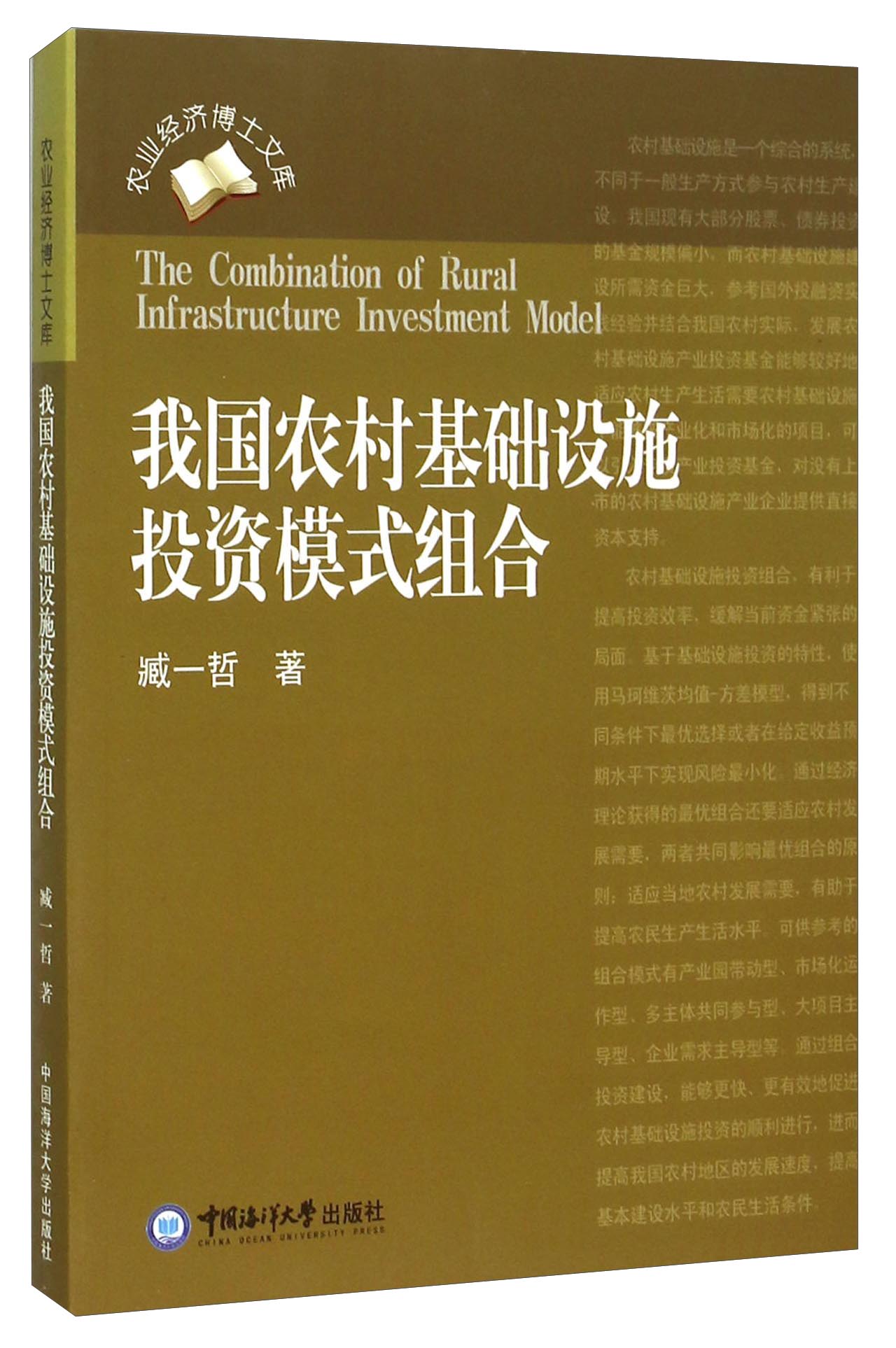 我国农村基础设施投资模式组合