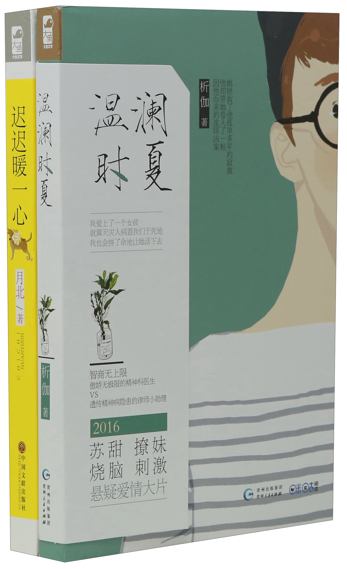你的百种样子我的百种喜欢（套装共2册）