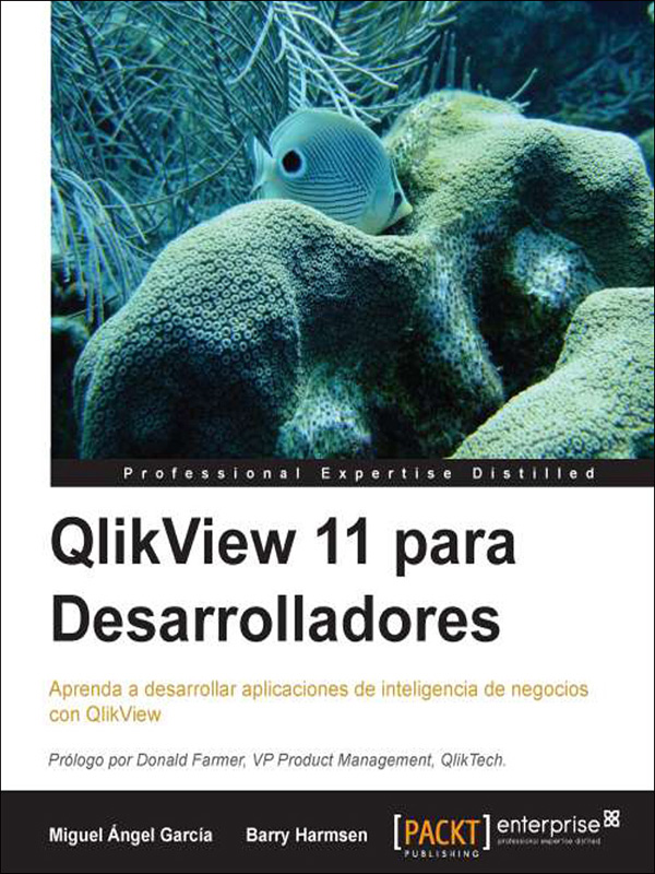 qlikview 11 para desarrolladores