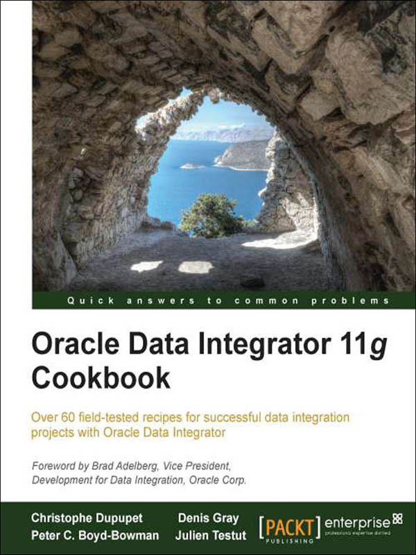 oracle data integrator 11g cookbook