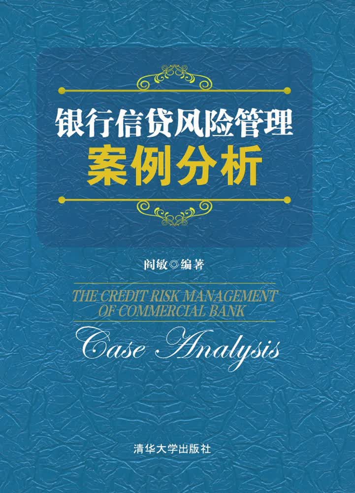 银行信贷风险管理案例分析