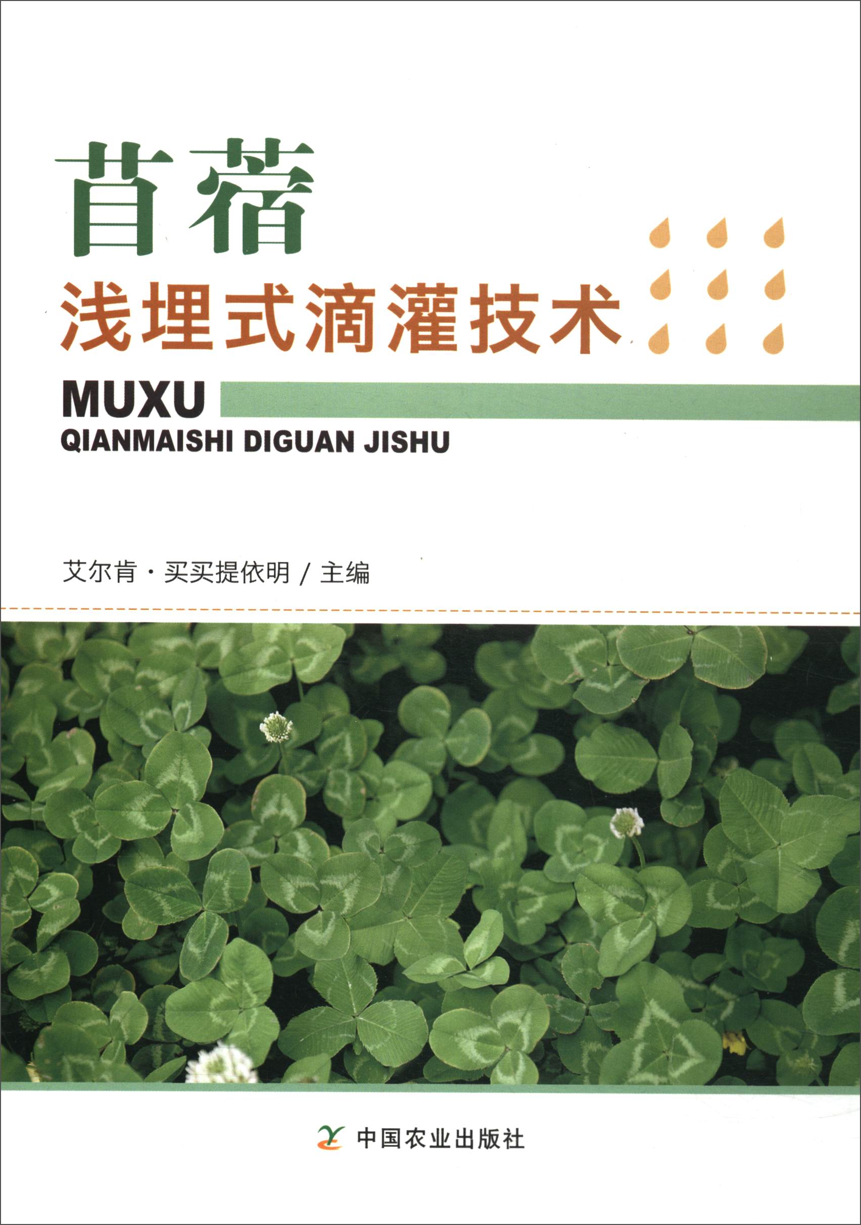 苜蓿浅埋式滴灌技术