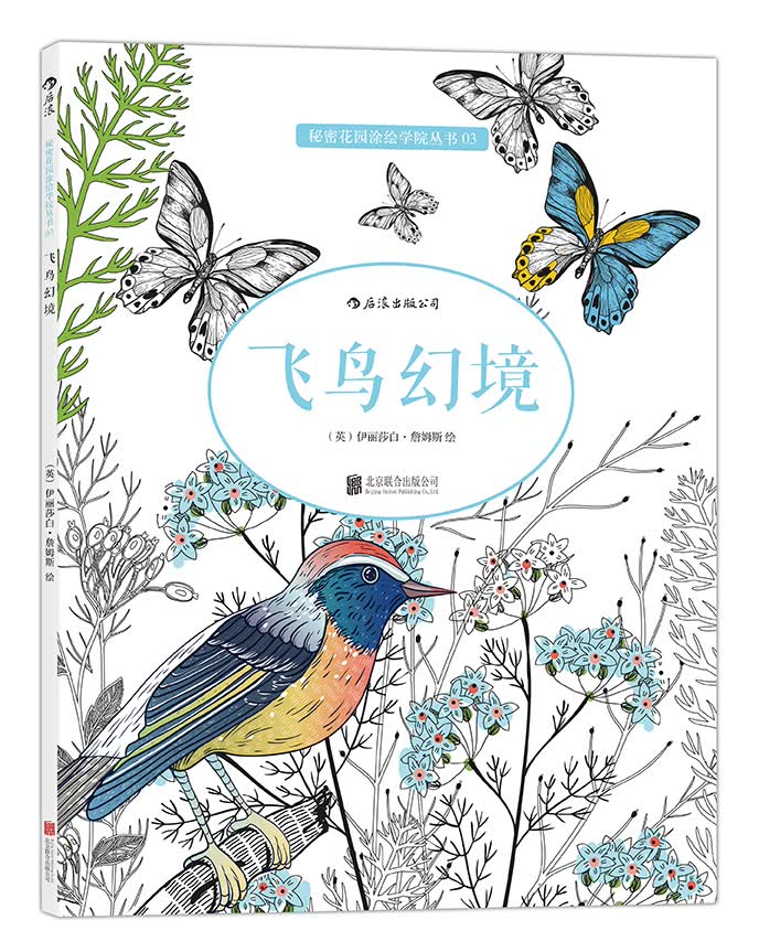 秘密花园涂绘学院丛书：飞鸟幻境