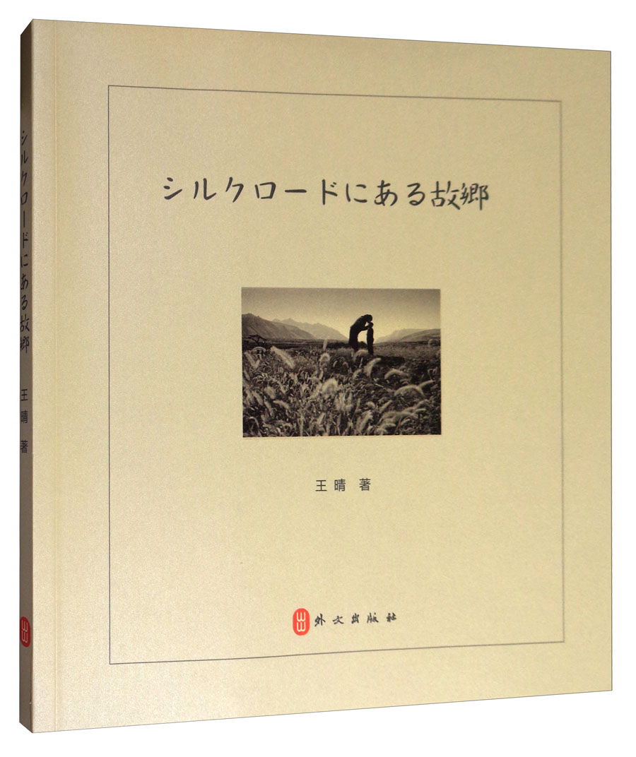 丝路上的故乡(日) 摄影类书籍 丝路上的