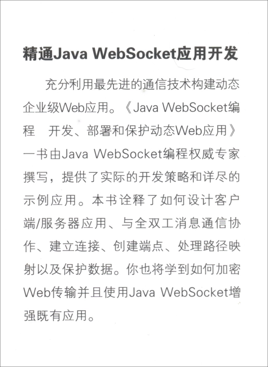Java Websocket编程：开发、部署和保护动态Web应用