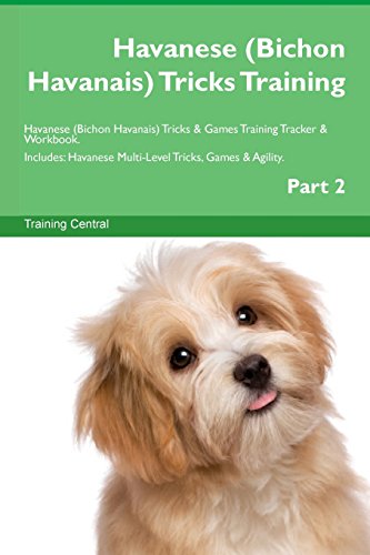 【预订】havanese (bichon havanais) tricks