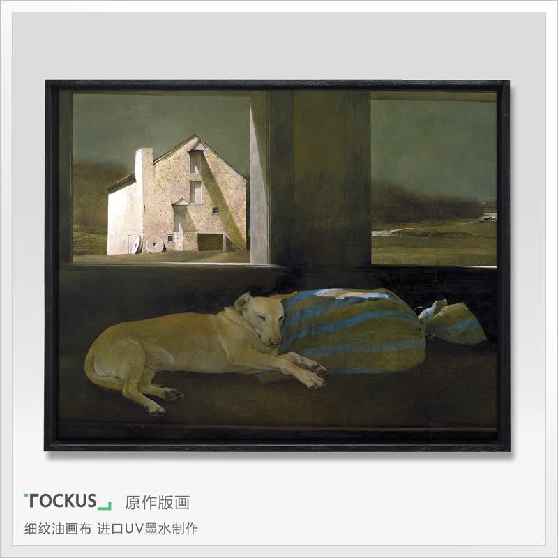 tockus 安德鲁怀斯 北欧客厅装饰画 现代简约餐厅挂画书房动物水彩画