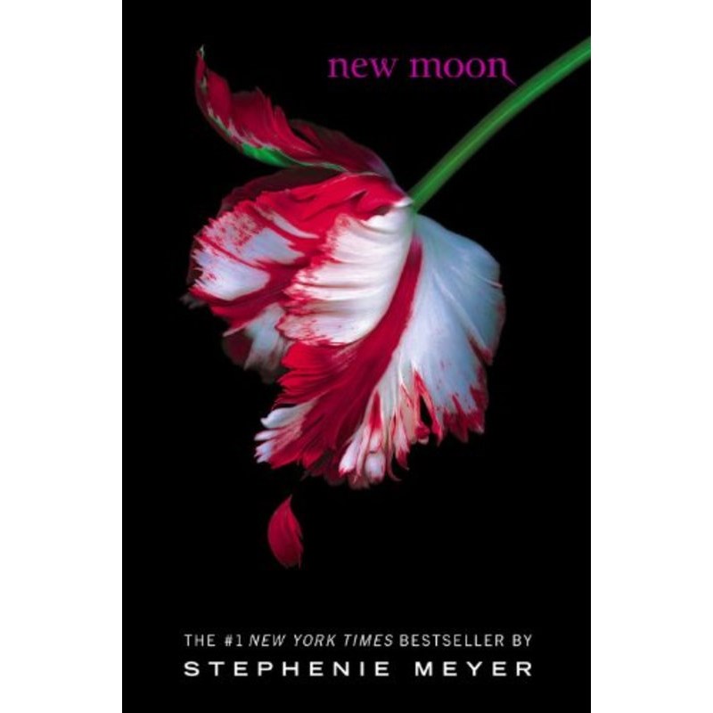 英文原版 新月 国际版暮光之城：第二部New moon