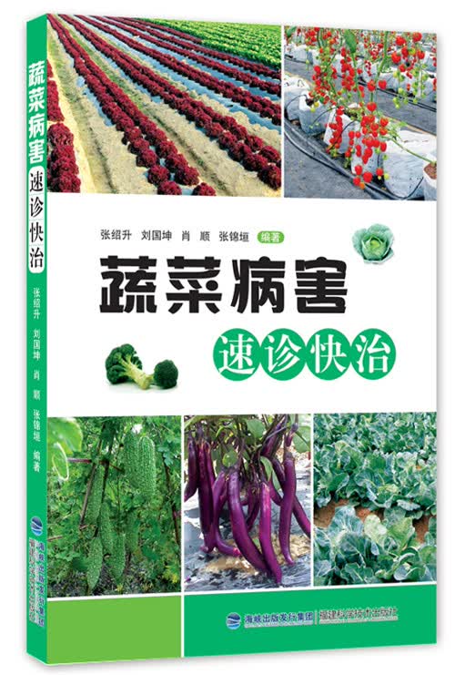 蔬菜病害速诊快治