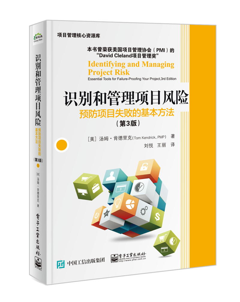 识别和管理项目风险：预防项目失败的基本方法（第3版）