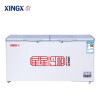 星星（XINGX） 406升 商用大容积卧式单温冰柜 冷藏冷冻转换冷柜 单箱变温冰箱 BD/BC-406E