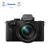 松下（Panasonic）G100M微单相机 数码相机 vlog相机 微单套机（12-60mm）4K视频 专业收音 美肤自拍 触摸屏