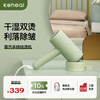 科西(keheal)挂烫机家用手持蒸汽电熨斗迷你便携式旅行熨烫机烫衣机 升级款H2-苏竹青
