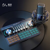 魅声 G80-V3 手机电脑声卡套装 k歌录音电容麦克风无线伴奏 户外主播有线收音话筒 抖音快手直播设备全套