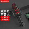 新科（Shinco）D37 麦克风话筒无线蓝牙音响一体套装主播电容手机专用K歌宝