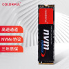 七彩虹(Colorful)  256GB SSD固态硬盘 M.2接口(NVMe协议)  CN600系列